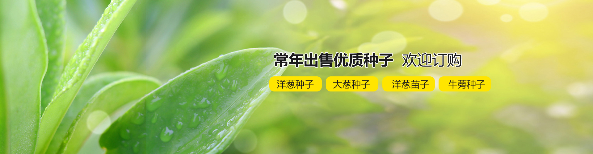 濟(jì)寧海建鋼結(jié)構(gòu)有限公司